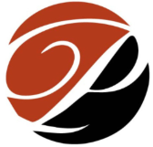 PALADIN CLOUD SYSTEMS LIMITED